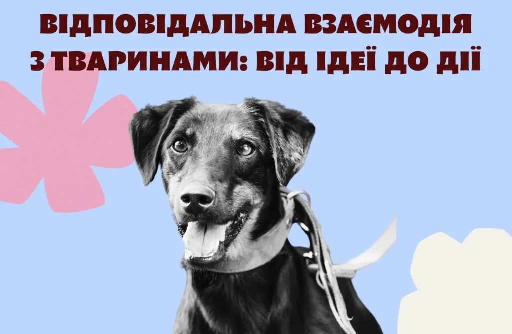 Курс про взаємодію з тваринами