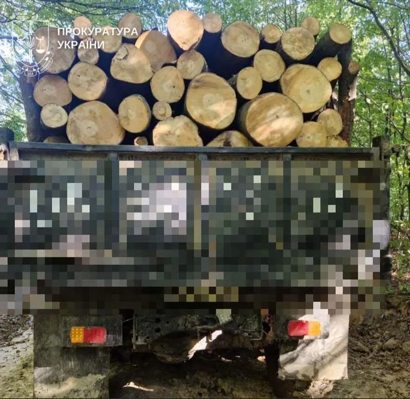 Деревину на десятки мільйонів вивозили з держпідприємства на Буковині