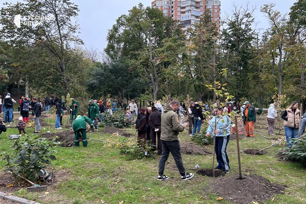 У дендропарку Перемоги в Одесі висадили 50 цукрових кленів