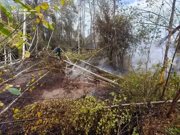 🔥 Майже 6 годин боротьби з вогнем: на Ковельщині горів торф (фото)