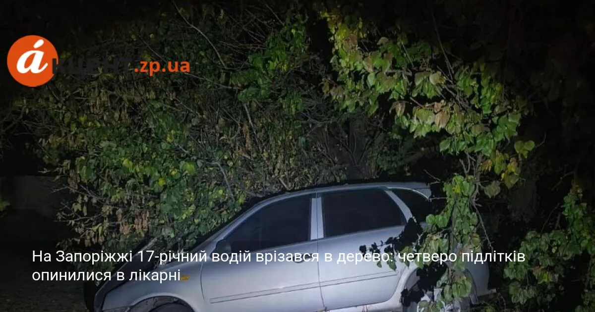 На Запоріжжі 17-річний водій врізався в дерево: четверо підлітків опинилися в лікарні