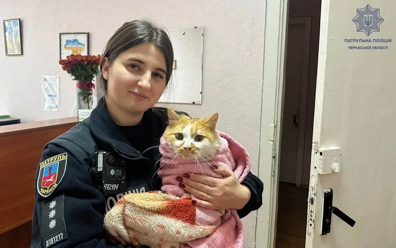 У Черкасах інспекторка допомогла котику, якого покусали собаки