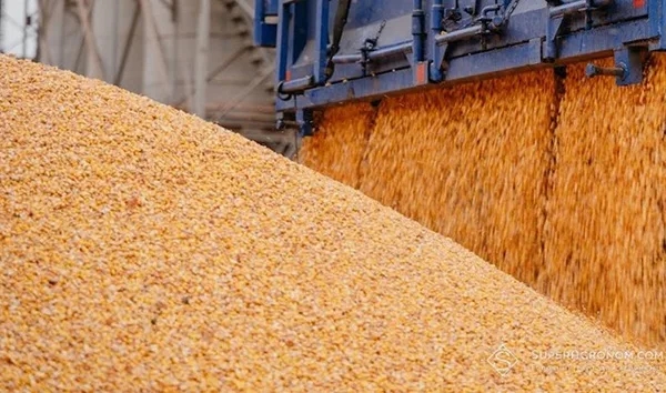 Україна експортувала 1,125 млн тонн агропродукції з початку жовтня