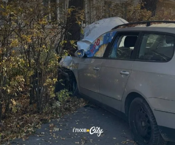У Глухові вночі п’яна водійка на "фольксвагені" врізалася у дерево