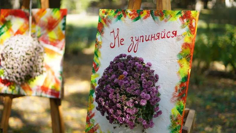У центральному парку імені Тараса Шевченка в Чернівцях облаштовані нові осінні фотозони У центральному парку імені Тараса Шевченка в Чернівцях облаштовані нові осінні фотозони