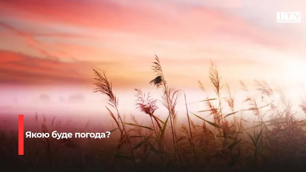 Туман прогнозують синоптики на Рівненщині