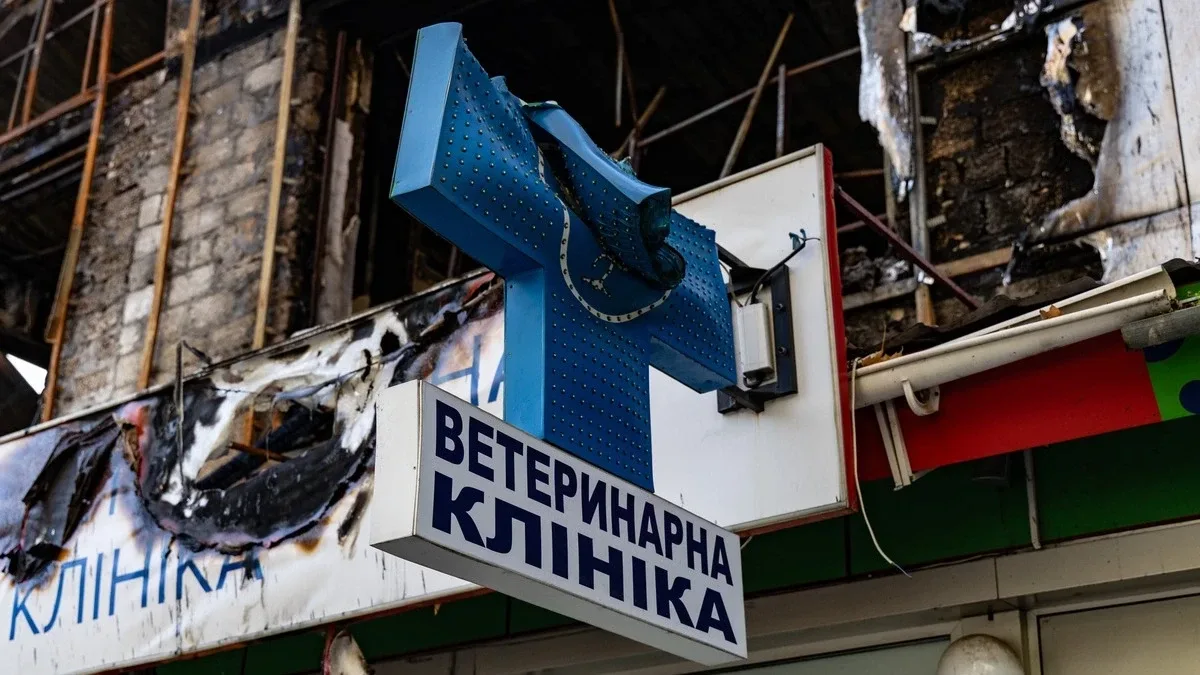 Херсонщина увійшла до п'ятірки регіонів, куди цього року найчастіше переїжджав бізнес