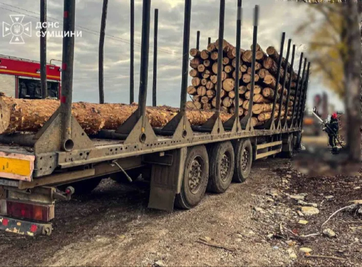 У Шосткинській громаді ворожий дрон влучив у вантажівку з деревиною
