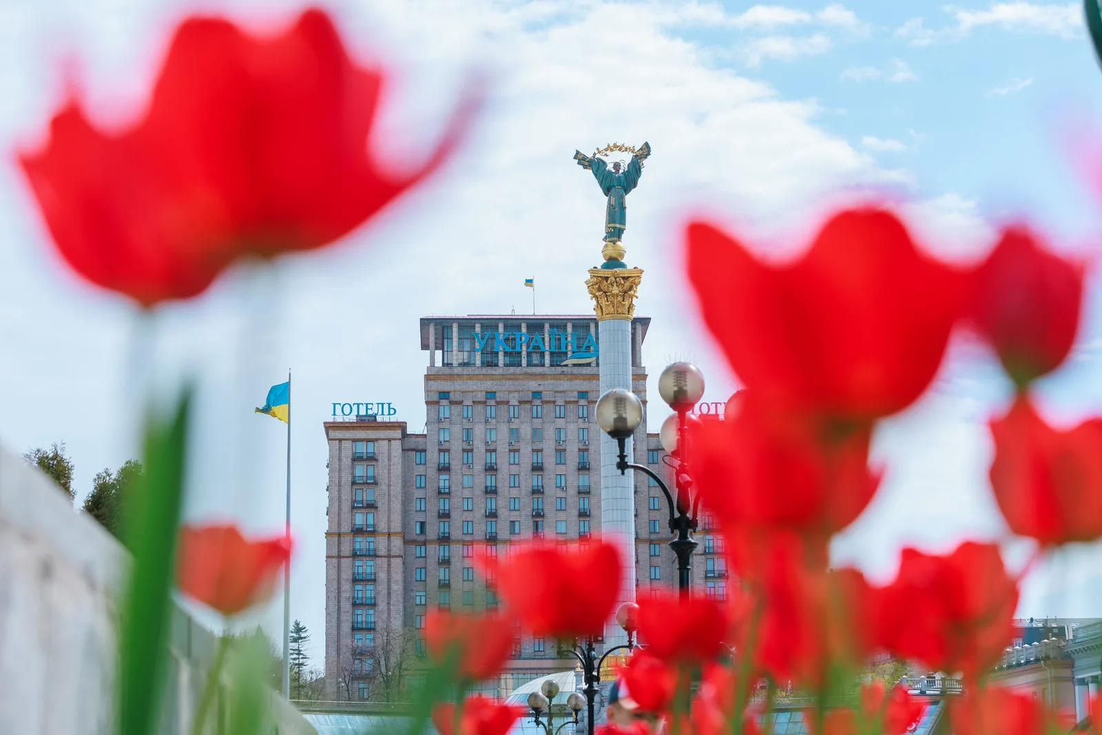 Навесні у Києві розквітне ще більше нідерландських тюльпанів