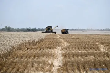 Висоцький: Майже половина агроекспорту під ризиком через обмеження роботи портів - це 32 мільйони тонн