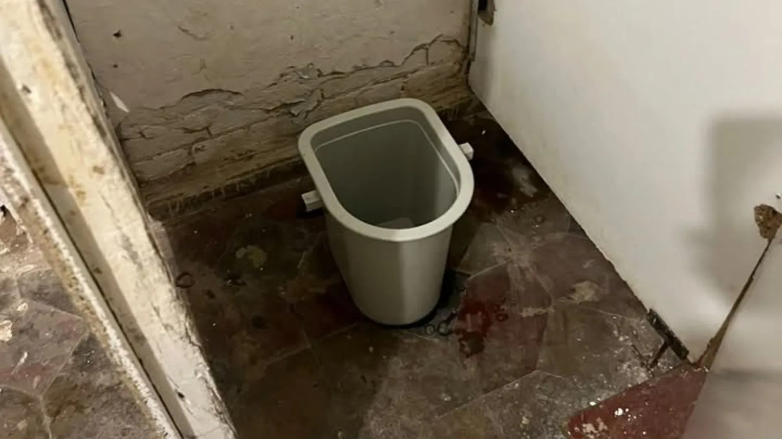 Через стан вбиральні укриття Лінгвістичного ліцею у Кропивницькому проведуть розслідування