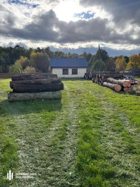 На Волині ДБР повідомило про підозру лісничому за незаконні рубки зі збитками понад 6,5 млн грн (фото)