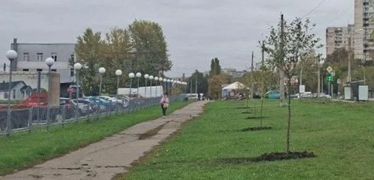 деревце
