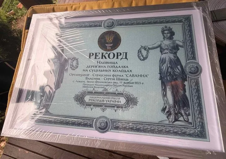 На Прикарпатті встановили найвищу в Україні дерев’яну гойдалку