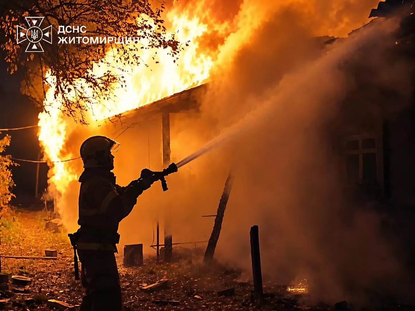 Допомога лісівників запобігла знищенню будинку в Заліссі