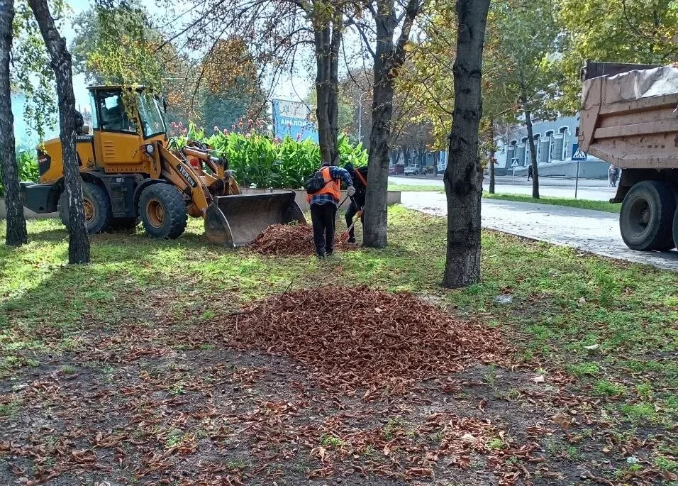 Оновлення тротуарів та прибирання опалого листя: у Кам’янському тривають роботи з благоустрою