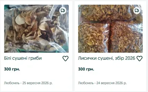 Понад 3000 грн за кілограм білих: які сушені гриби продають на Волині та як їх правильно зберігати