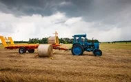 Урожай зерновых и масличных в Украине превысил 50 млн тонн
