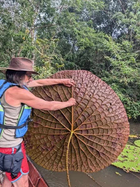 Обнаружен неизвестный науке вид: его нашли на фото в Instagram