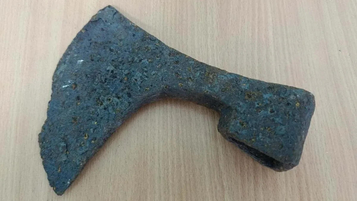 До херсонського музею передали сокиру, знайдену поблизу Львова