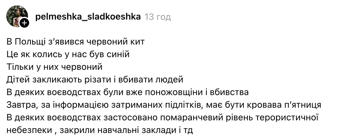 ''Червоний кит''. У Польщі після нападів із ножем закрили школи через інформацію про ''криваву п'ятницю'' 