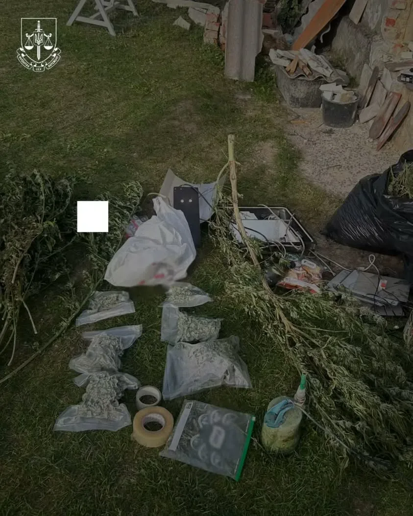 На Львівщині викрили групу, що вирощувала коноплі на мільйони гривень