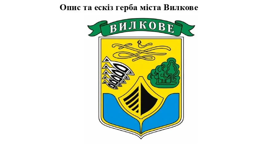 Нове обличчя Вилківської громади: затверджено ескізи офіційної символіки міста та навколишніх сіл