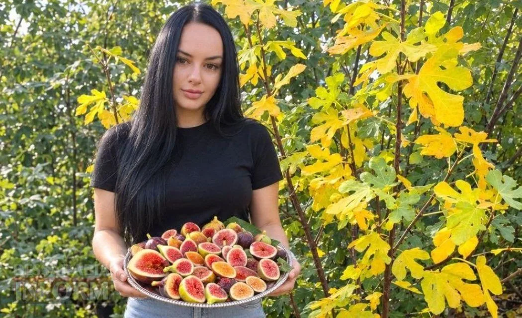 Антистресова терапія: як колишня мешканка квартири створила в Ізмаїлі унікальний інжирний сад